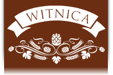 Hotel Witnica